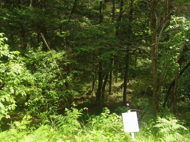 高山市荘川町町屋字西三洞527-192