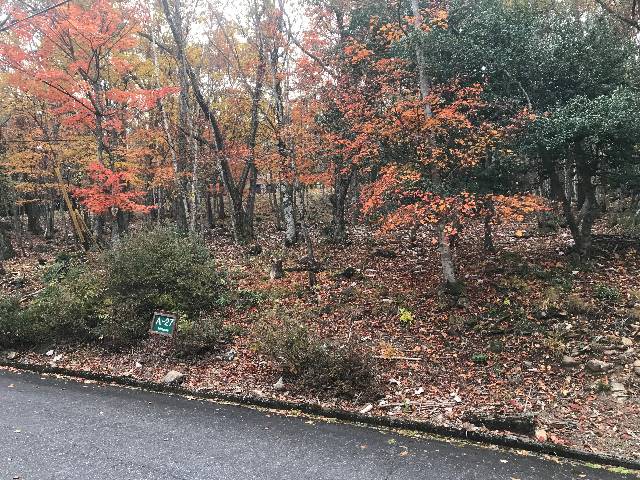 高山市久々野町無数河4269番地15
