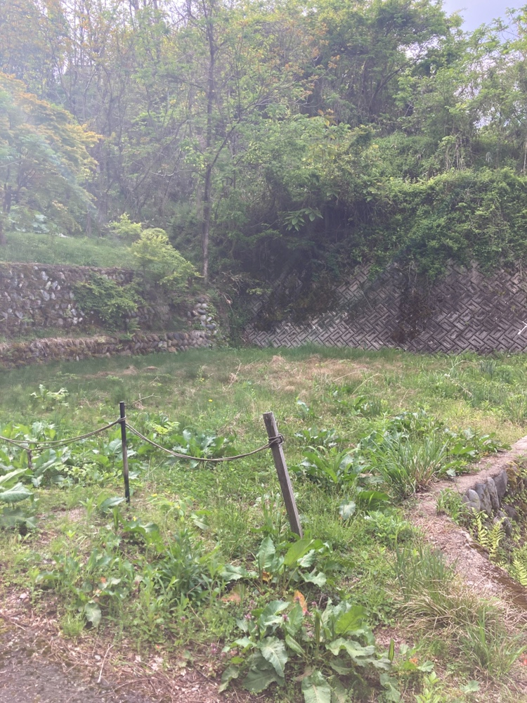 高山市三福寺町4305番1